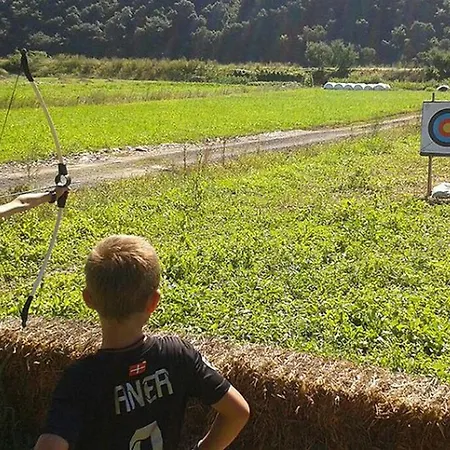 Campingplads Pmr Avec Terrasse - 3 Pers. - Api-1-52-1795